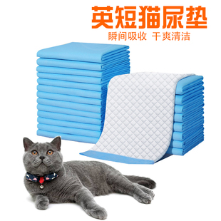 英短猫咪专用尿片尿不湿隔尿垫子幼猫生产房外出航空箱包宠物用品