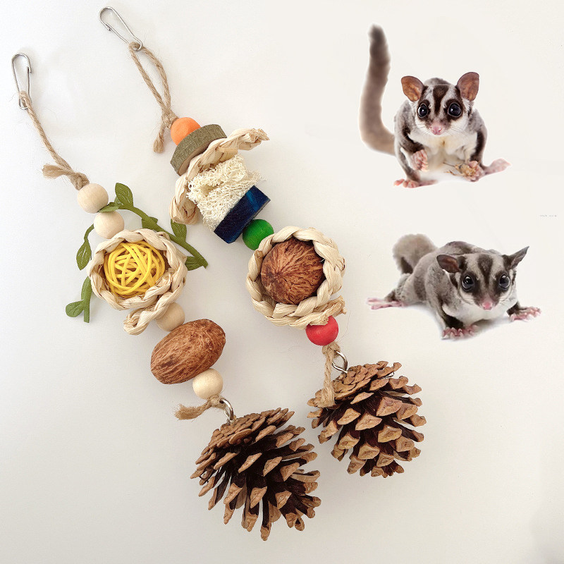 蜜袋鼯专用磨牙棒玩具解闷自嗨小笼子飞天鼠装饰造景生活宠物用品,宠物/宠物食品及用品,玩具/造景装饰,淘宝优惠券,粉丝福利购,淘宝优惠卷