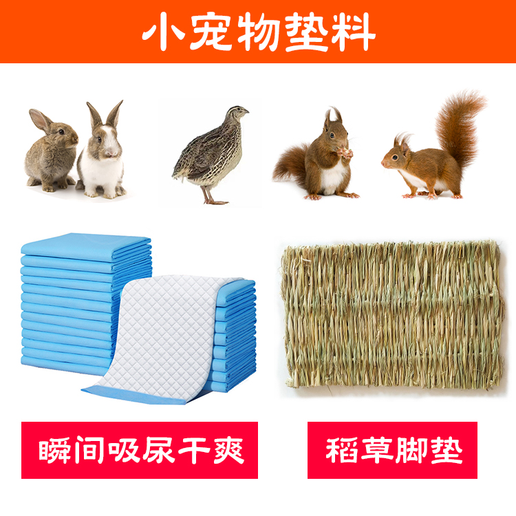 宠物专用除臭尿不湿小松鼠芦丁鸡