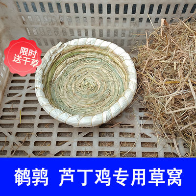 芦丁鸡稻草窝保暖鹌鹑下蛋用品