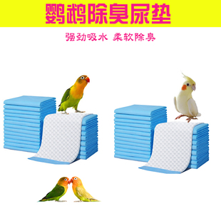 鹦鹉专用屎尿垫幼鸟雏鸟鸟笼保温箱外出包虎皮玄凤小号一次性用品