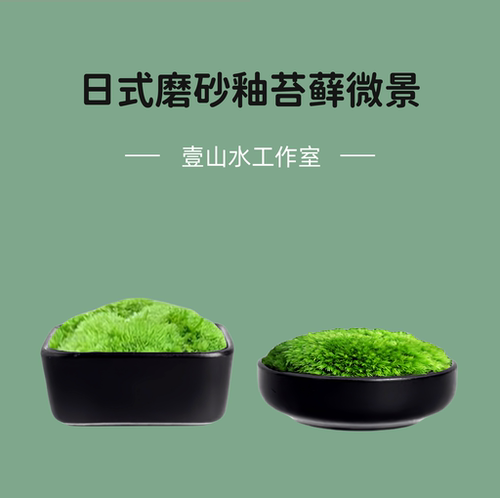 壹山水手作日式苔藓微盆景成品