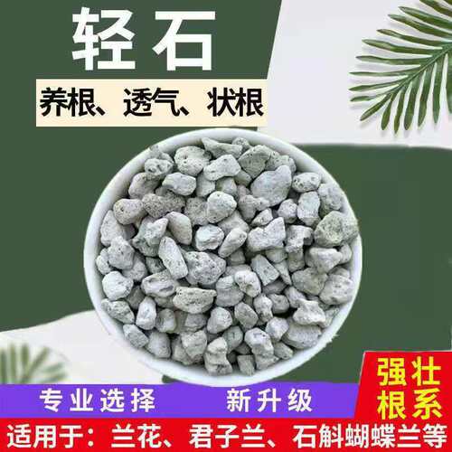 轻石过滤水陆缸造景微景观浮石