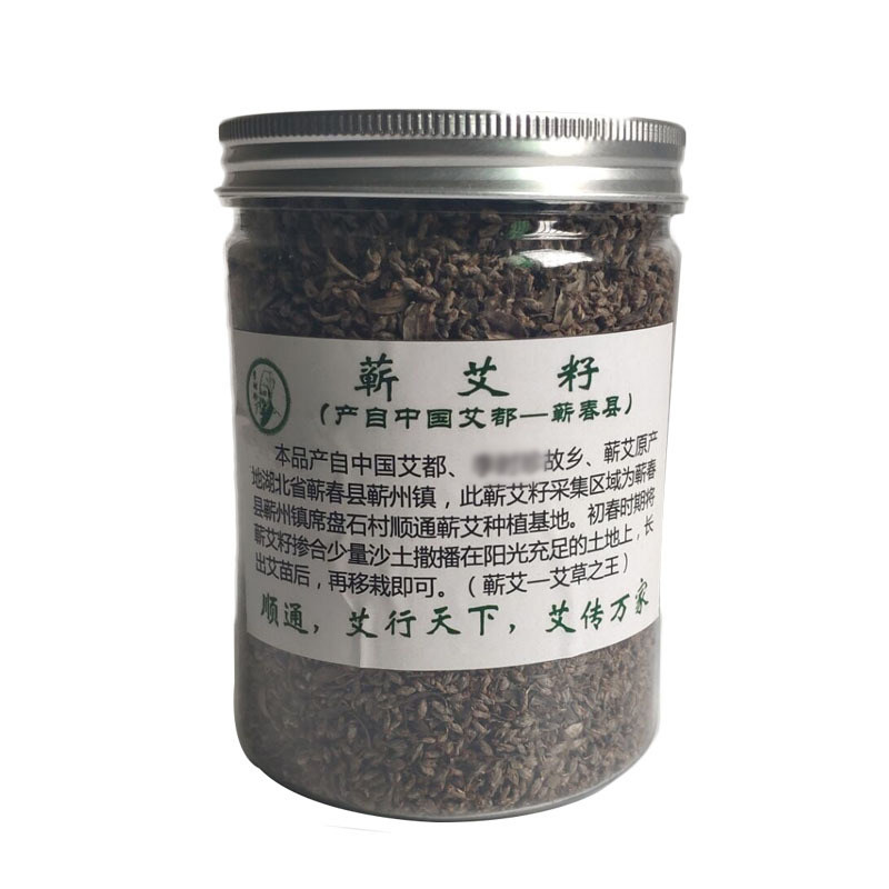 蕲春艾苗艾草种子食用艾叶种植苗艾灸/艾草/艾条/艾