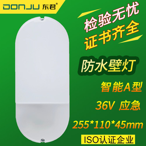 东君消防应急智能A型LED防水壁灯