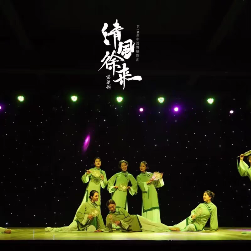 桃李杯古典舞演出服女子清风徐来舞蹈服扇舞表演艺考练习服装群舞
