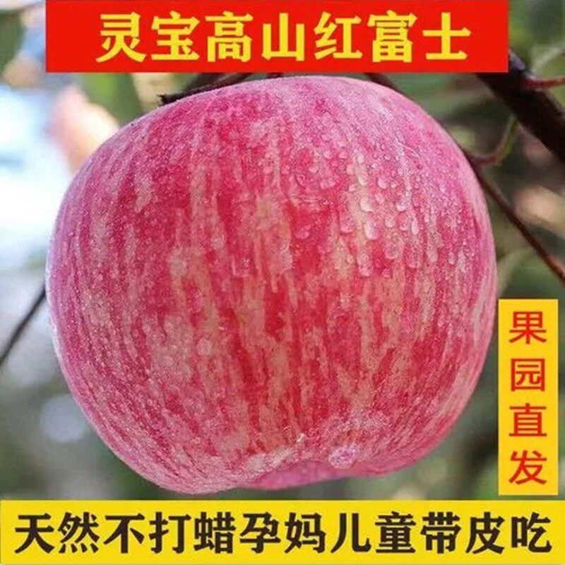 灵宝苹果2025年新果河南寺河山SOD富硒苹果红富士冰糖心10斤包邮