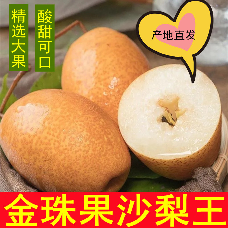 2025年正宗洛宁金珠果沙梨王丑梨秋月梨应季新鲜稀罕水果整箱包邮