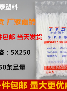 5*250mm白色塑料自锁式尼龙扎带封条 固定塑料捆线带直销捆线电线