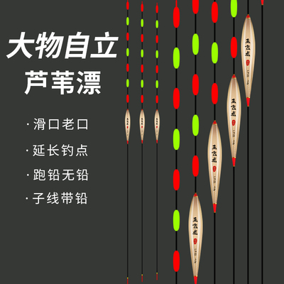 大物芦苇加粗醒目无铅自立跑铅漂