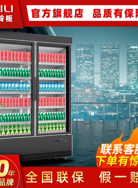 百利单双三门冷冻展示柜官方正品