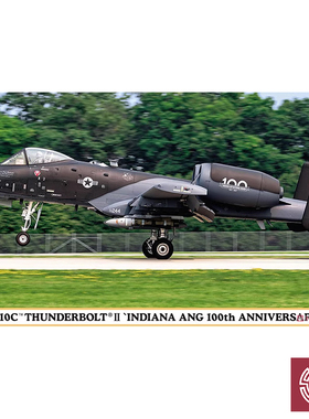 铸造 长谷川 1/72 美 A-10C雷电II 印第安纳州周年纪念涂装 02409