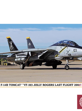 铸造模型 长谷川 拼装模型 1/72 F-14B 战斗机 VF-103 02434