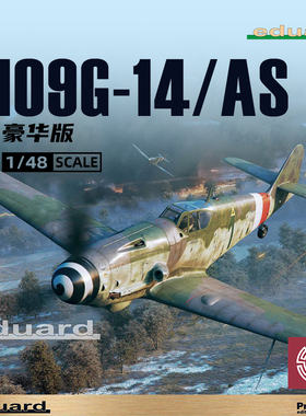 铸造模型 牛魔王拼装飞机 82162 109G-14/AS 豪华版 1/48