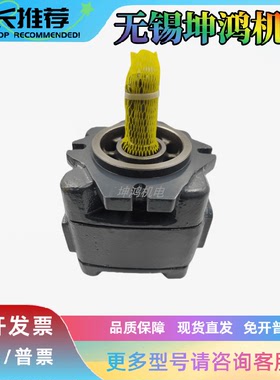 德国Rexroth力士乐叶片泵R900928947 PVV1-1X/046RA15UMB液压油泵