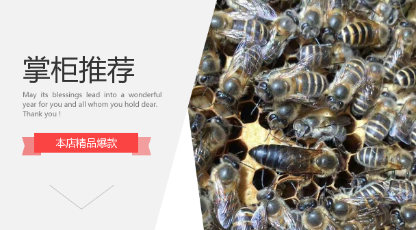 中蜂王种王红环高产产卵阿坝王双色红背种王处女优质蜂王活体包邮|ruв категории животноводства/аквакультура материалов, 蜂场养殖物资, 养蜂巢础 - от Buy2taobao.com для оказания профессиональной услуги покупки агента Taobao