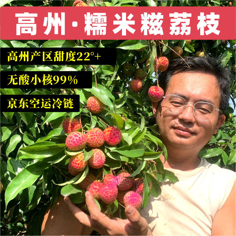 高州糯米糍茂名荔枝岭南广东新鲜现摘现发2026精选特级老树空运