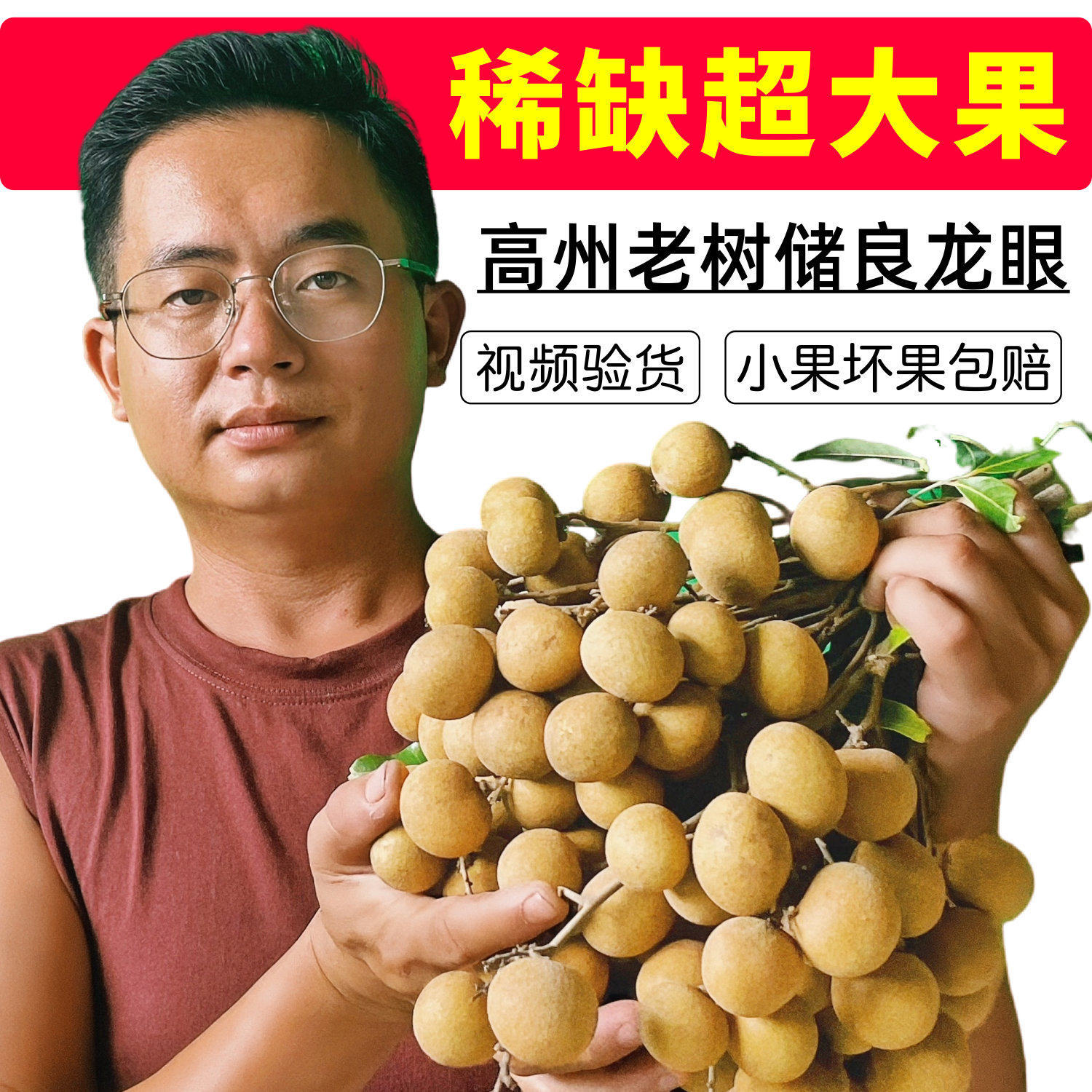 高州储良龙眼新鲜茂名鲜桂圆特级大果广东特产现摘10斤整箱空运