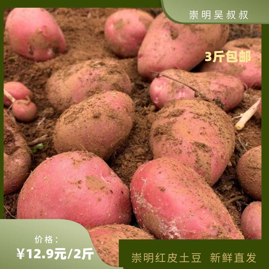 崇明本地新鲜农产品2斤红皮土豆（3件包邮）