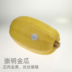 吴叔叔崇明本地金瓜黄金瓜4-5斤左右/个