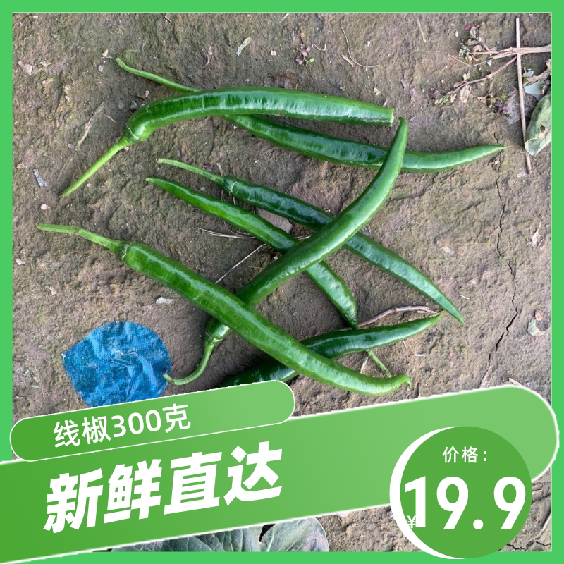 吴叔叔线椒微辣300克装