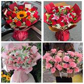 抚顺市新抚东洲望花顺城区县同城鲜花店订38妇女节康乃馨百合花束
