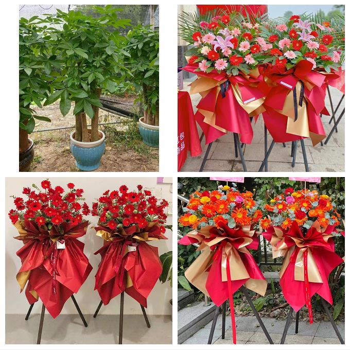 抚州市溪县资溪县东乡广昌县同城花店订鲜花大麦开业花篮店铺开张