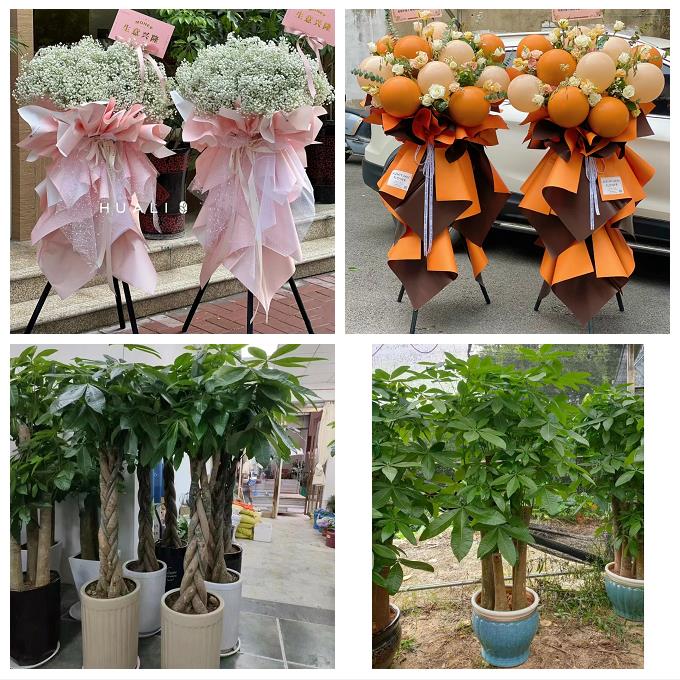 送徐州市鼓楼区云龙区贾汪区同城花店订鲜花大麦开业花篮店铺开张