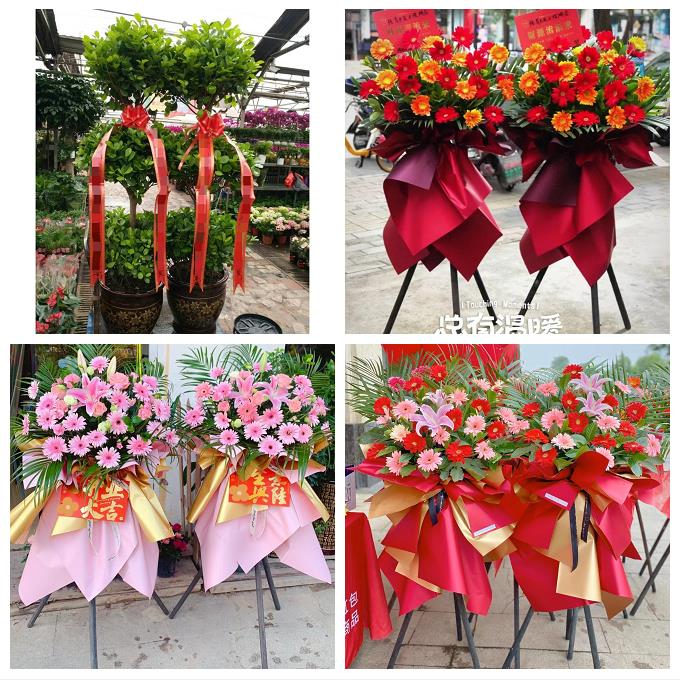 湘潭市雨湖岳塘区九华湘潭县同城花店订鲜花大麦开业花篮店铺开张