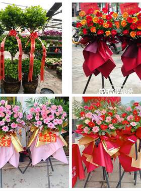 湘潭市雨湖岳塘区九华湘潭县同城花店订鲜花大麦开业花篮店铺开张