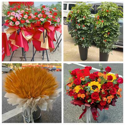 成都市新津县简阳市都江堰市同城花店订鲜花大麦开业花篮店铺开张