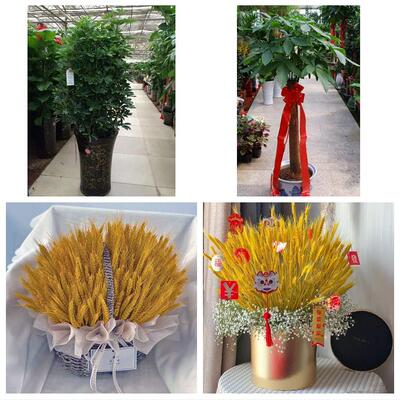 舟山市定海普陀区岱山嵊泗县鲜花店同城配送朋友乔迁新店开业花篮