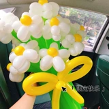 Сяохонгу, тот же тип маленького шарика Daisy, цветочный пикник для пикника для пикника для пикника