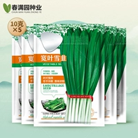 10G с длинными листьями лука * 5 пакет