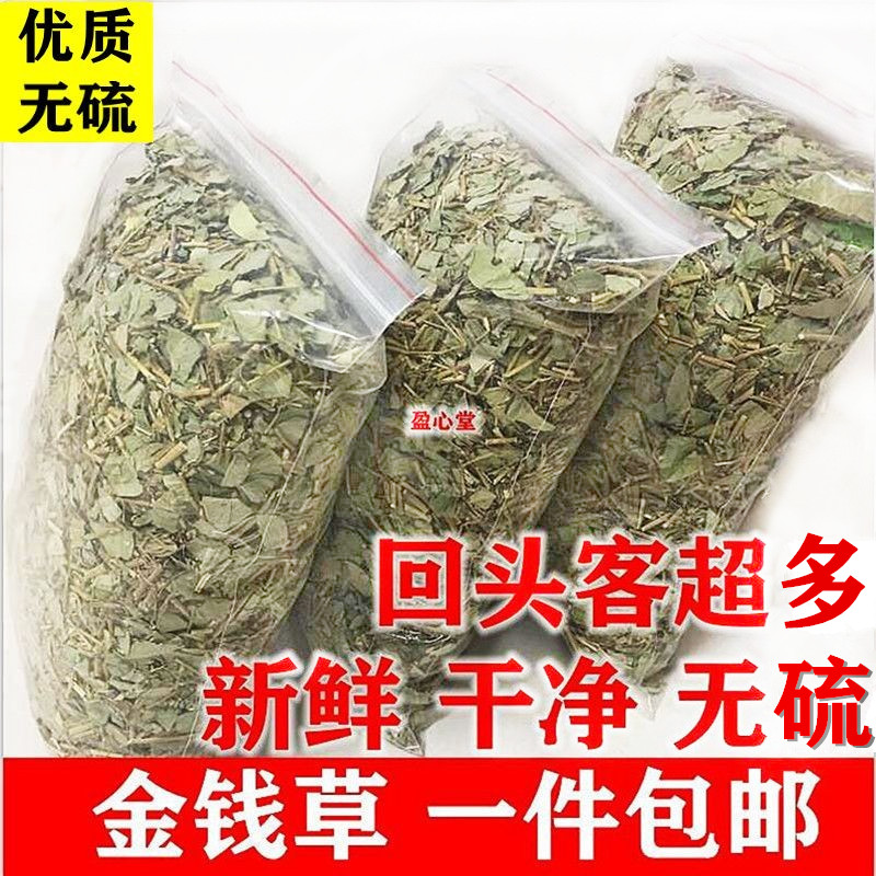 广西野生大叶金钱草新鲜泡水广金钱草当季新货无硫中药材精选500g 传统滋补营养品 广金钱草 原图主图