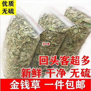 广西野生大叶金钱草新鲜泡水广金钱草当季新货无硫中药材精选500g