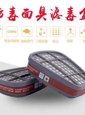 防毒面具滤毒盒喷漆农药甲醛防酸