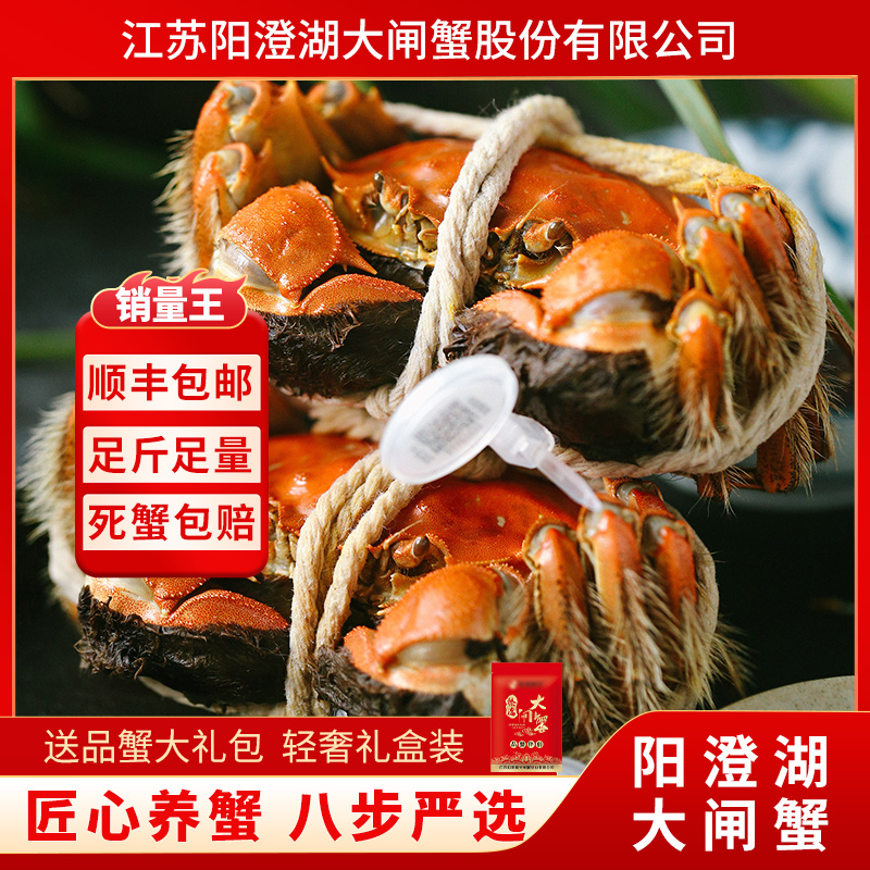 【活蟹】阳澄湖大闸蟹鲜活螃蟹公4.5两母3.5两6只官方旗舰礼盒装