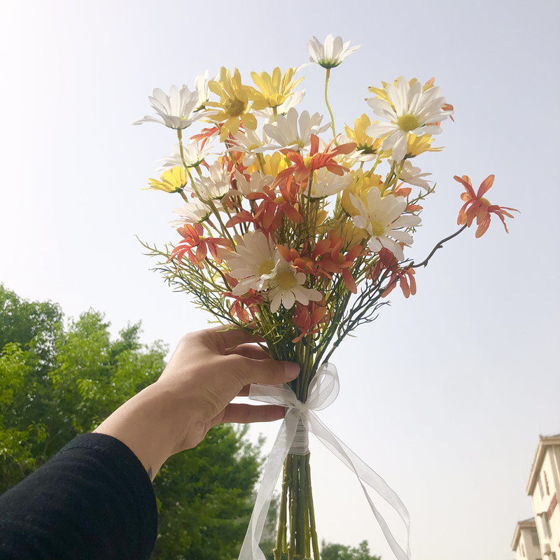 花束ins风拍照荷兰菊摄影道具图片
