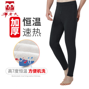 男正品 厚毛裤 冬季 加绒加厚高腰蚕丝羊毛裤 WK8112 保暖裤 羊老大棉裤