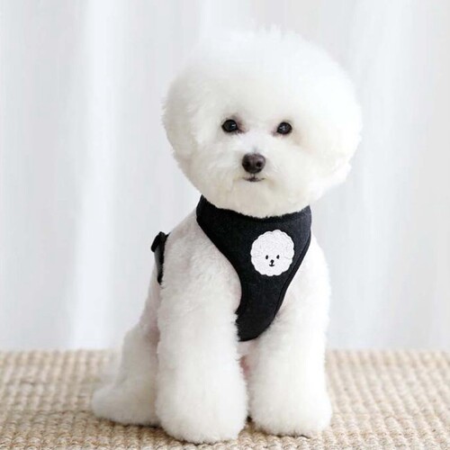 中小型犬小狗胸背牵引绳