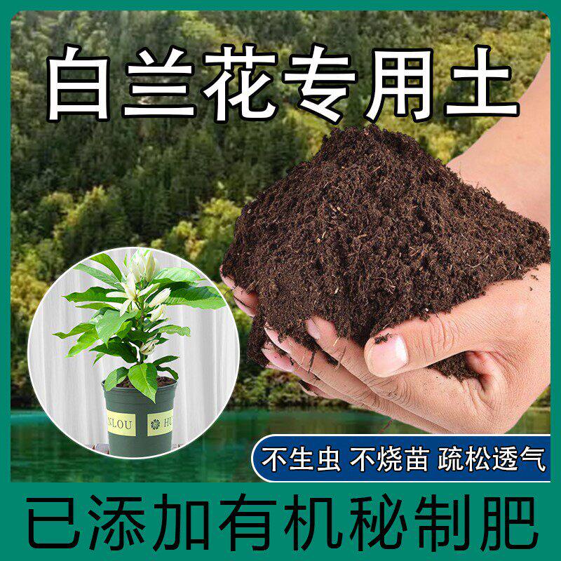 白兰花专用土家庭种花盆栽土白玉兰营养土花卉土黄角兰种植土肥料