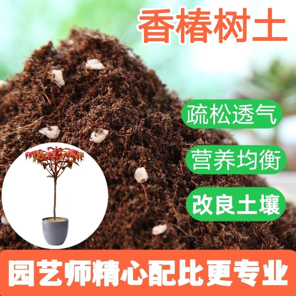 香椿天然腐殖有机土高温腐熟盆栽盆景大包种植土不闷根腐叶土园艺