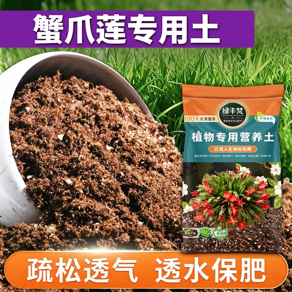 蟹爪莲专用轻质土天然原料多肉营养土进口保护根系开袋即用观叶