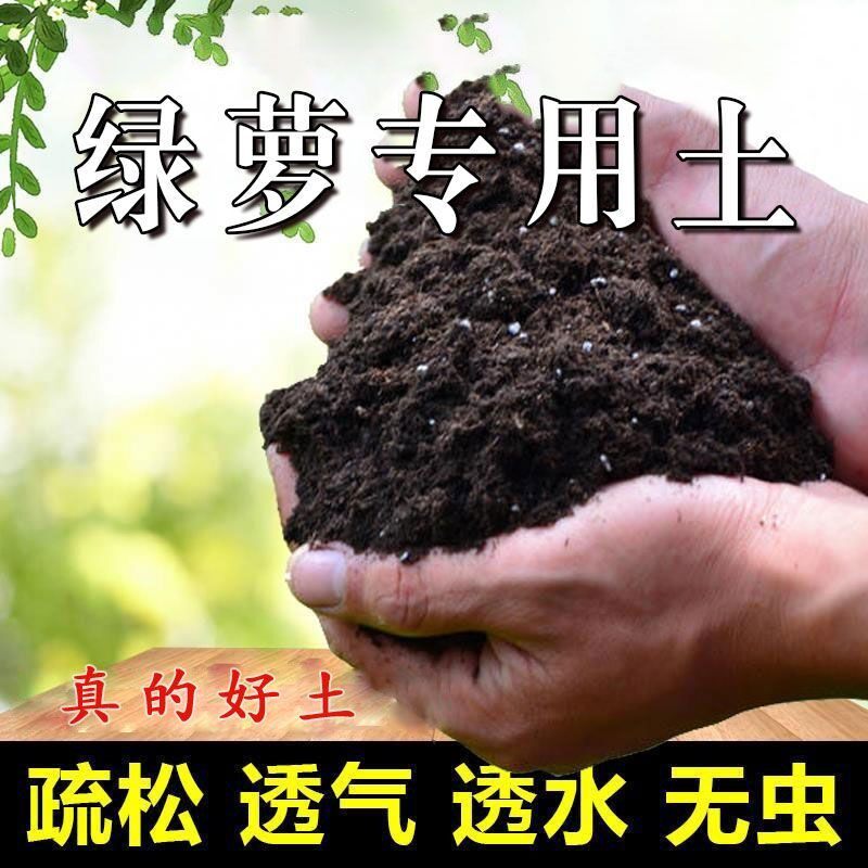 绿萝专用土盆栽营养土家用花土壤通用弱酸性泥碳土绿萝土种植肥料