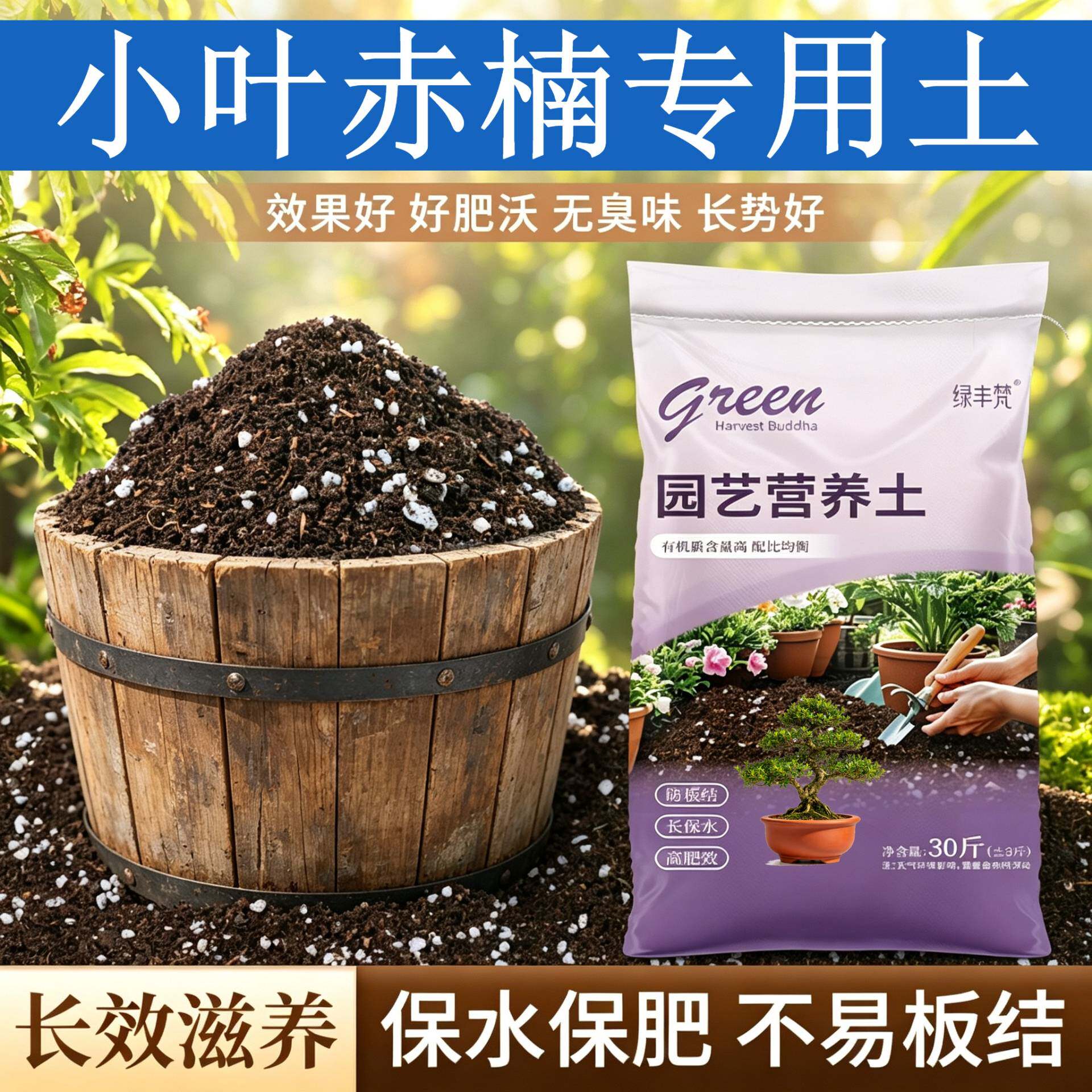 小叶赤楠适用含泥炭腐殖泥炭土疏松透气盆栽泥炭基质有机增色喜酸