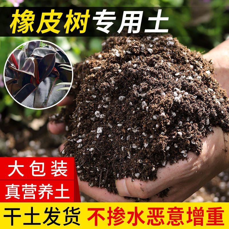 橡皮树专用土盆栽酸性土养花园艺家用营养土壤种植土有机肥料通用