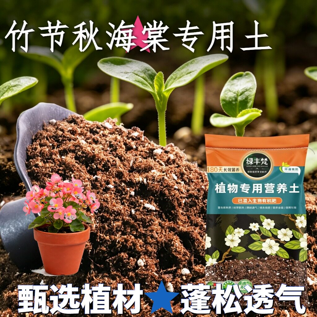 竹节秋海棠专用育苗土养分持久种植土原料甄选提升排水家用装多肉
