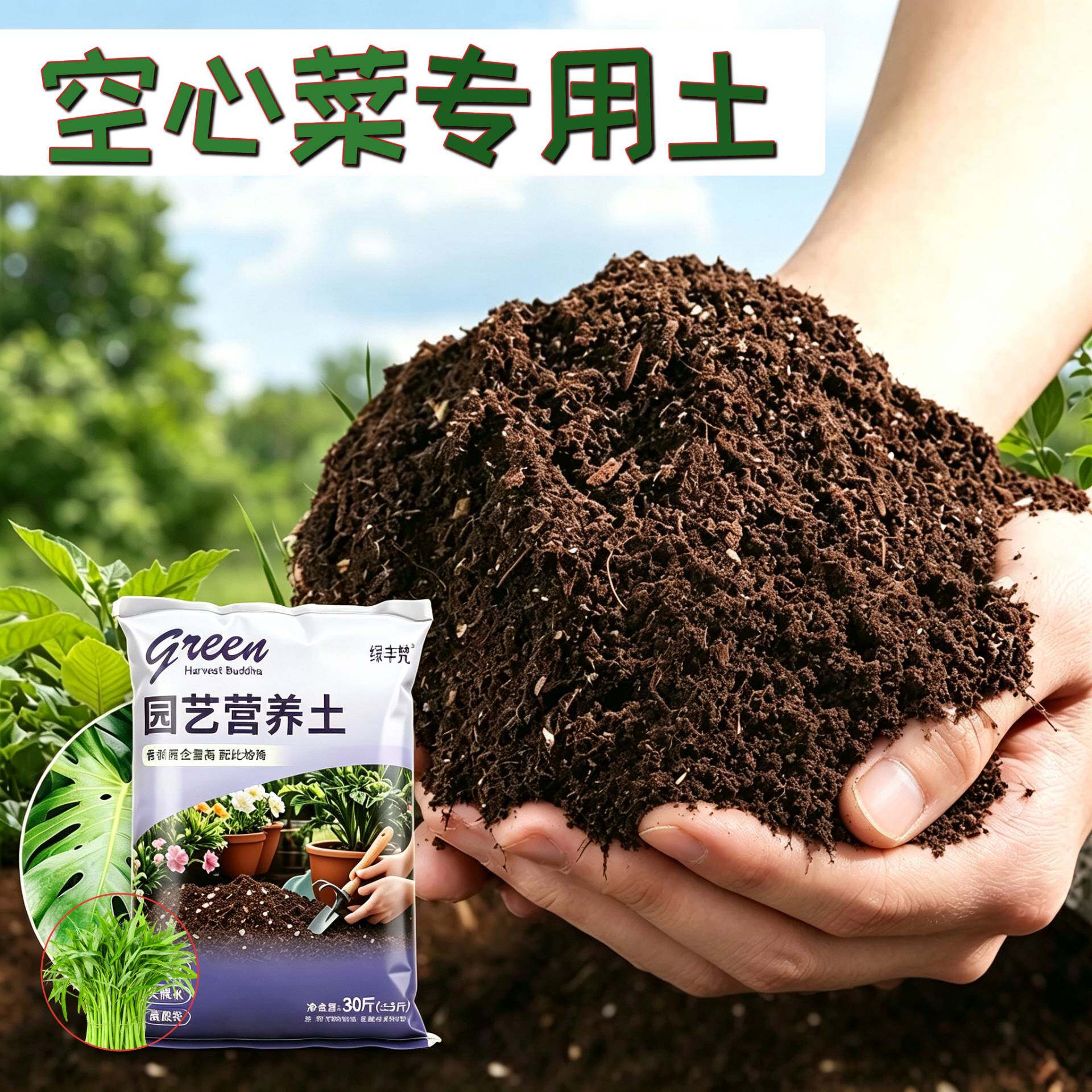 空心菜适用进口泥炭土高温灭菌保水锁肥泥炭基质优质促生长观花