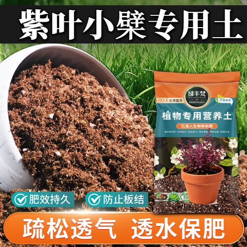 紫叶小檗专用花泥不易板结地栽盆栽土优质稳定土团开袋即用多肉